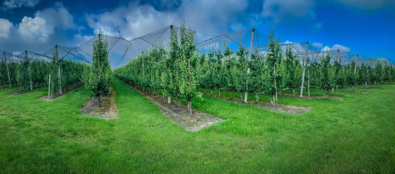 Hof Van Repen Tongeren Kültér fotó
